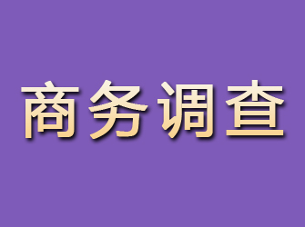 黑龙江商务调查